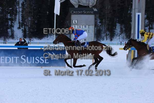 ET0Q0611 prot